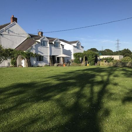 Brynawel Farm B&B Pontlliw Esterno foto