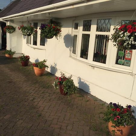 Brynawel Farm B&B Pontlliw Esterno foto