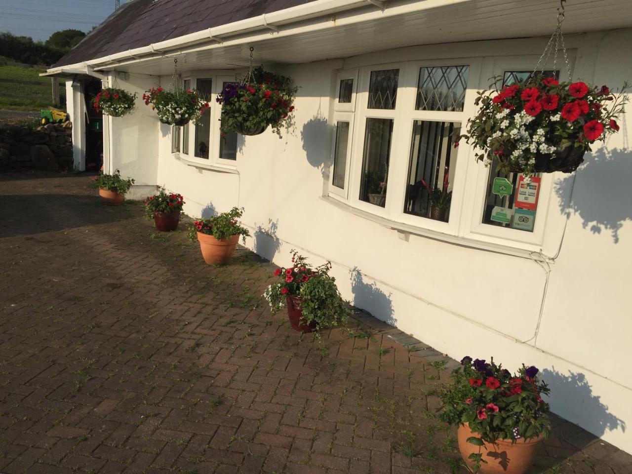 Brynawel Farm B&B Pontlliw Esterno foto